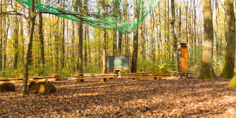 wide angle view on outdoor class room in forest with chalk board, school desks and book shelf
